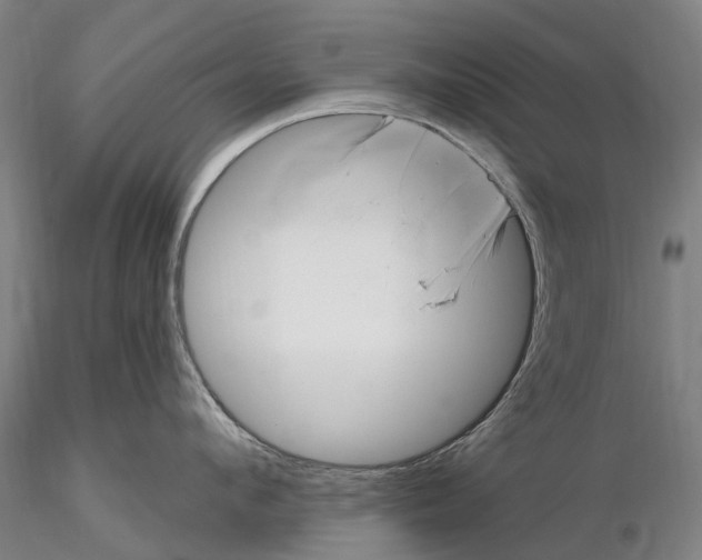 X0000115730912200912101449