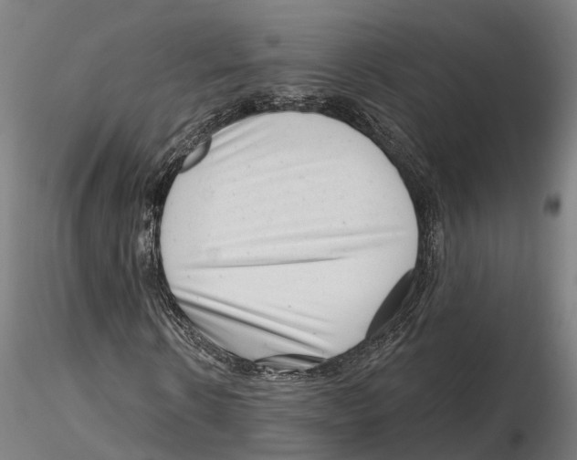 X0000115730914200912101448