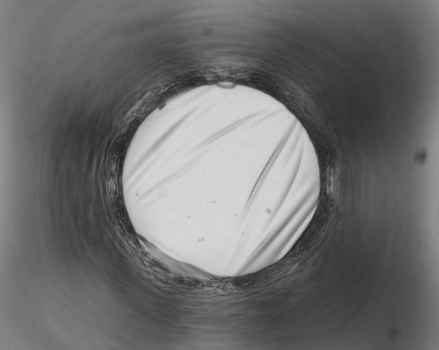 X0000115730915200912101448