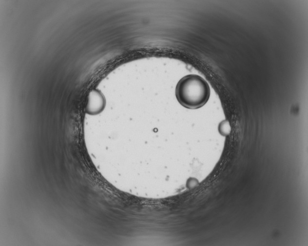 X0000115730918200912101448