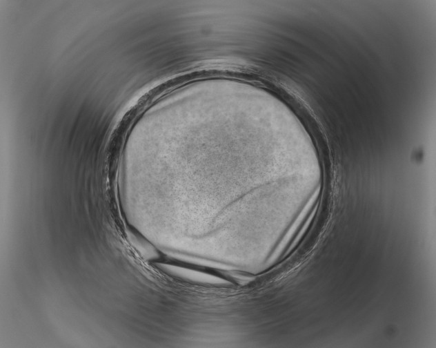 X0000115730923200912101448