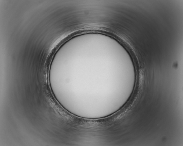 X0000115730925200912101448