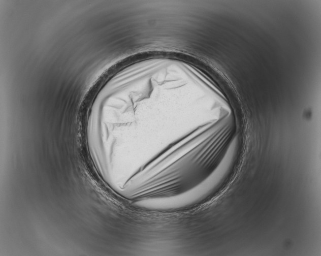 X0000115730926200912101448