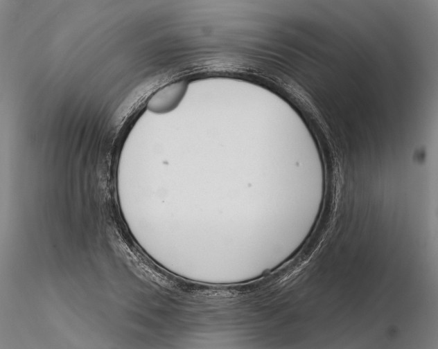 X0000115730930200912101448