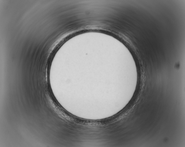X0000115730934200912101448