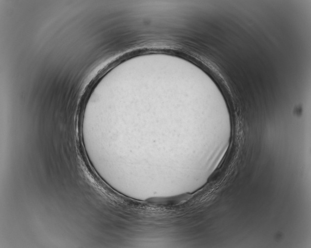 X0000115730935200912101448