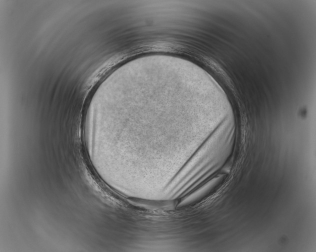 X0000115730938200912101448