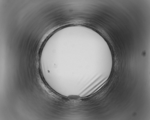 X0000115730939200912101448
