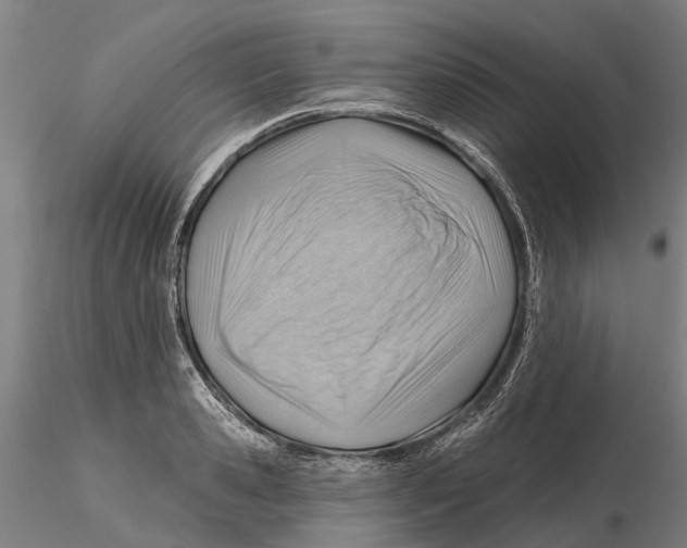 X0000115730941200912101449