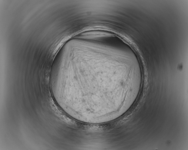 X0000115730945200912101449