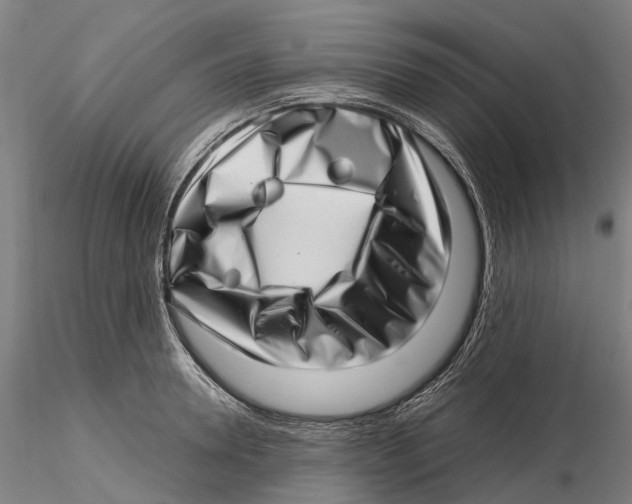 X0000115730946200912101449