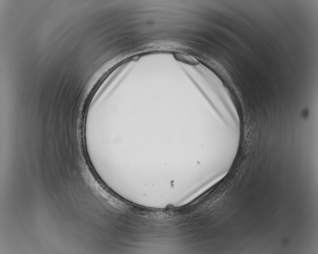 X0000115730947200912101449