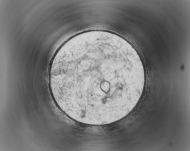 X0000115730950200912101449