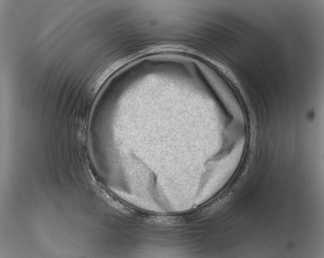 X0000115730953200912101449