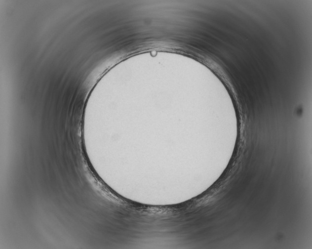 X0000115730954200912101449