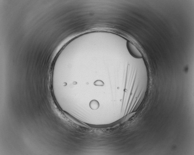 X0000115730955200912101449