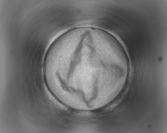 X0000115730957200912101449