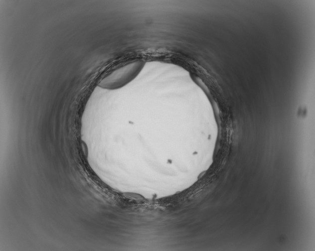 X0000115730961200912101448