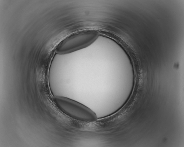 X0000115730969200912101448