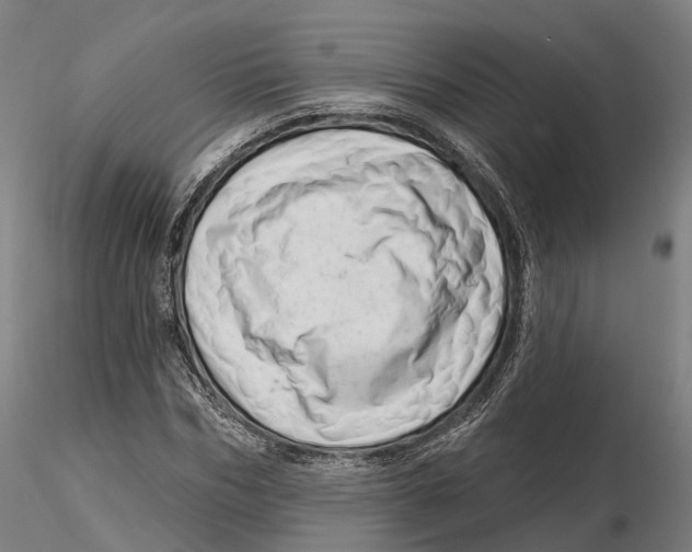 X0000115730970200912101448