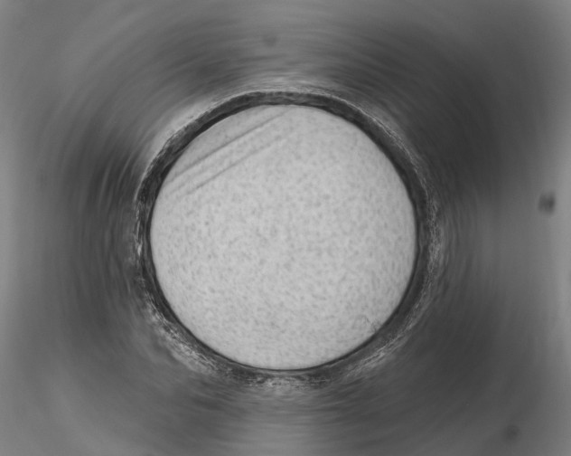 X0000115730974200912101448