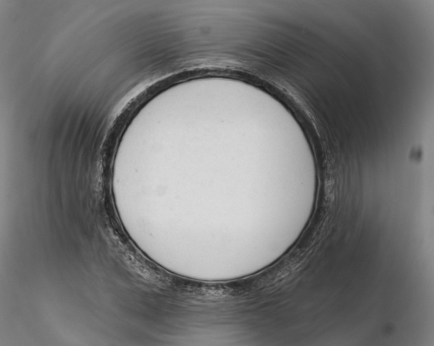 X0000115730975200912101448