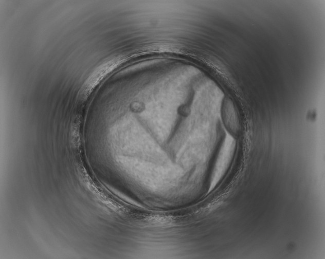 X0000115730977200912101448