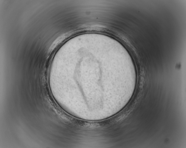 X0000115730978200912101448