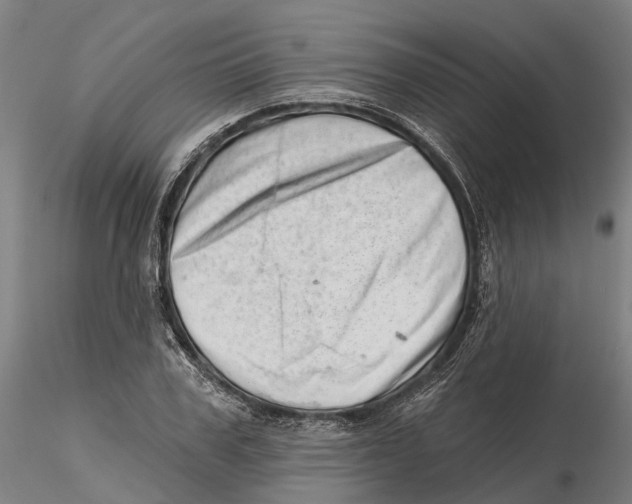 X0000115730979200912101448