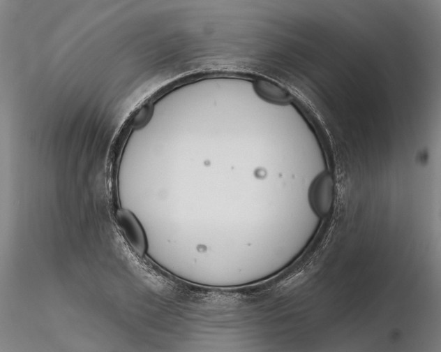 X0000115730981200912101448