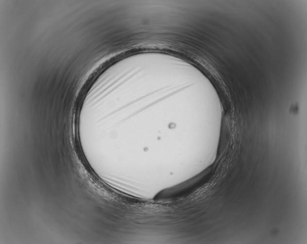 X0000115730984200912101448