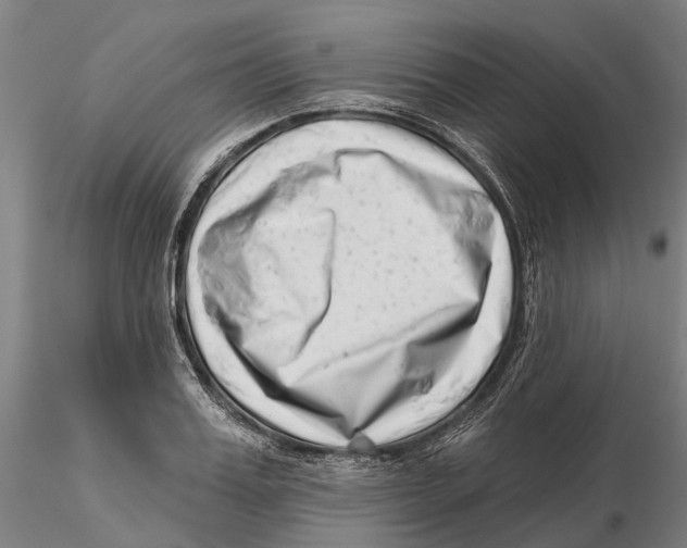 X0000115730987200912101448