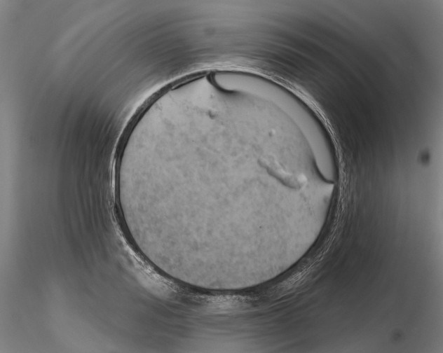 X0000115730988200912101448