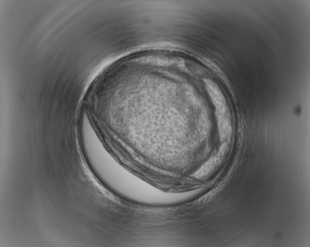 X0000115730989200912101448
