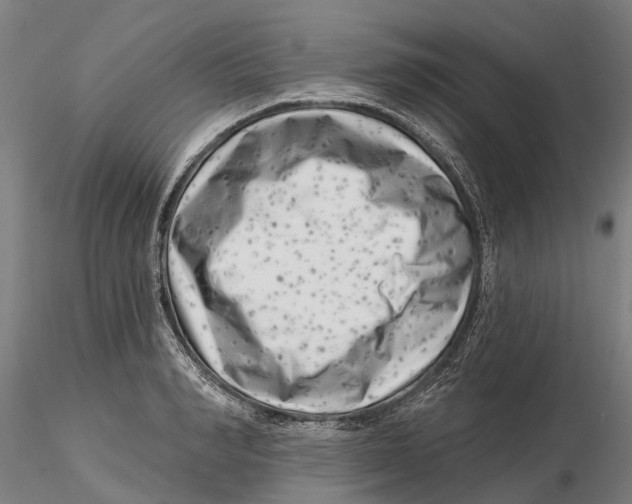 X0000115730990200912101448