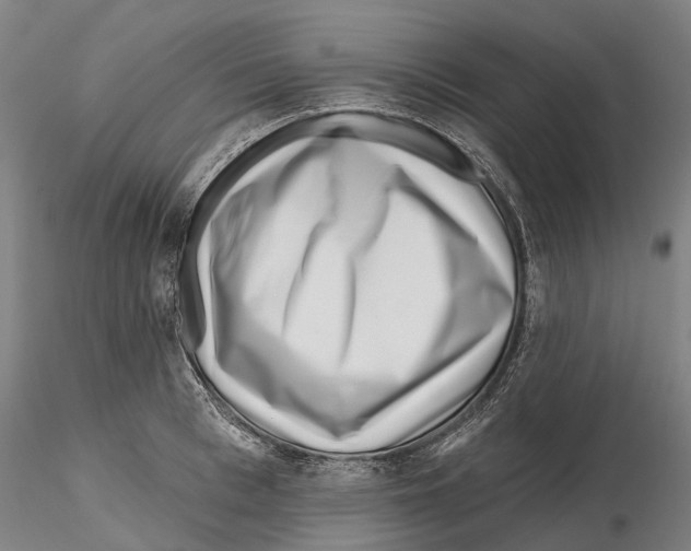 X0000115730993200912101448
