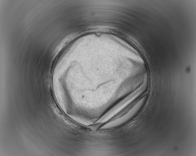 X0000115730994200912101448