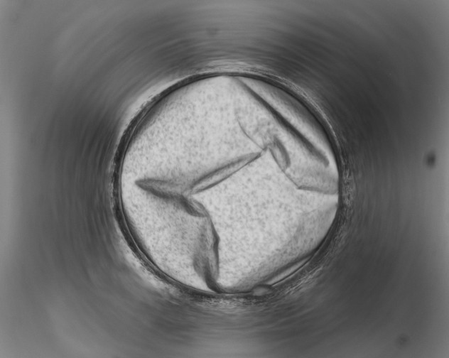 X0000115730995200912101448