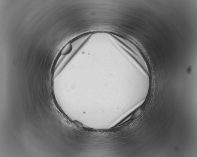X0000115730996200912101448