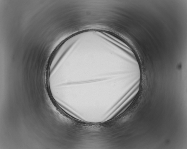 X0000115730999200912101448