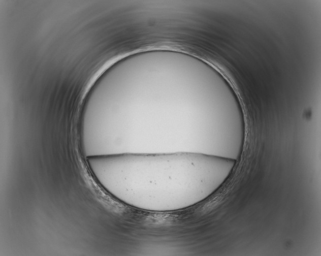 X0000115731000200912101448