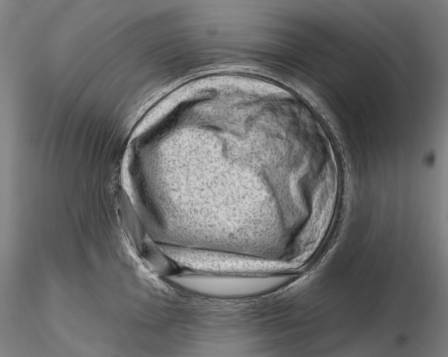X0000115731001200912101448