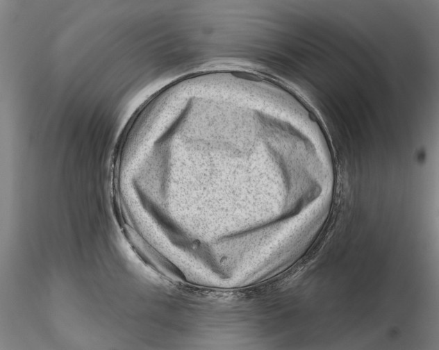 X0000115731003200912101447