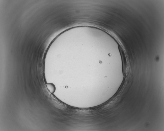 X0000115731004200912101447