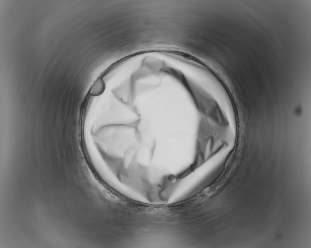 X0000115731006200912101447