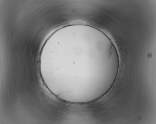 X0000115731008200912101447