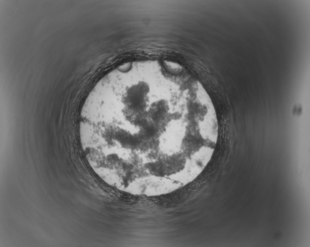 X0000115731009200912101447