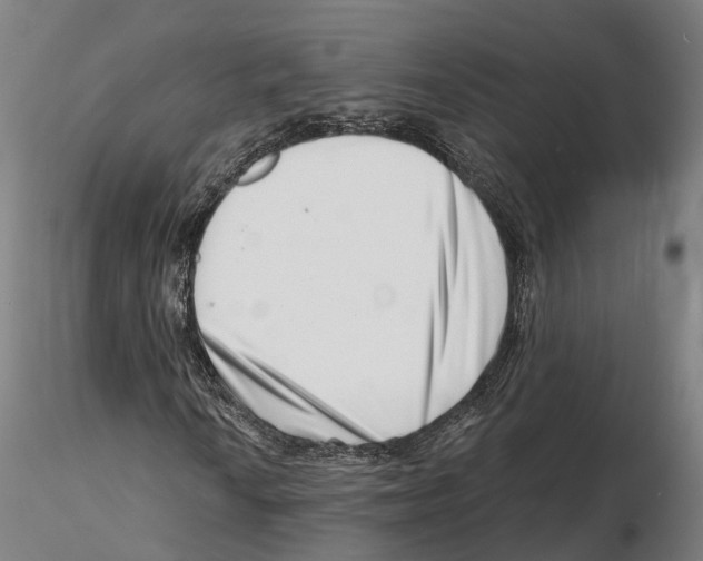 X0000115731010200912101447