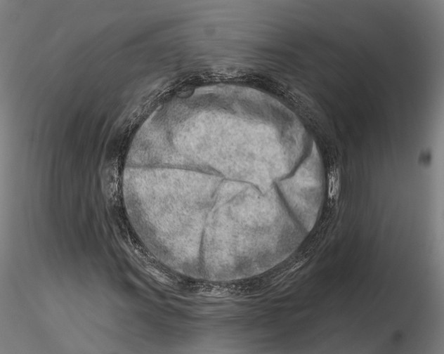 X0000115731011200912101447