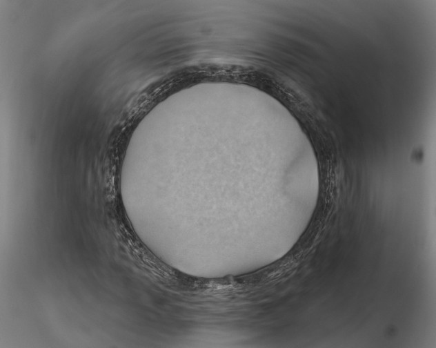 X0000115731013200912101447